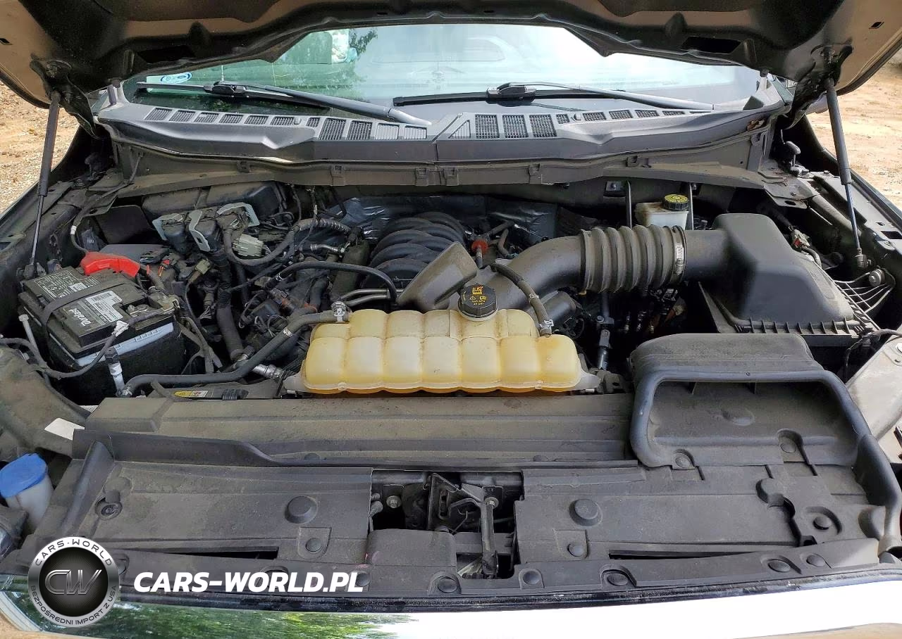 2021 Ford F150 Supercrew VIN:1FTFW1E56MKE62351 - 11