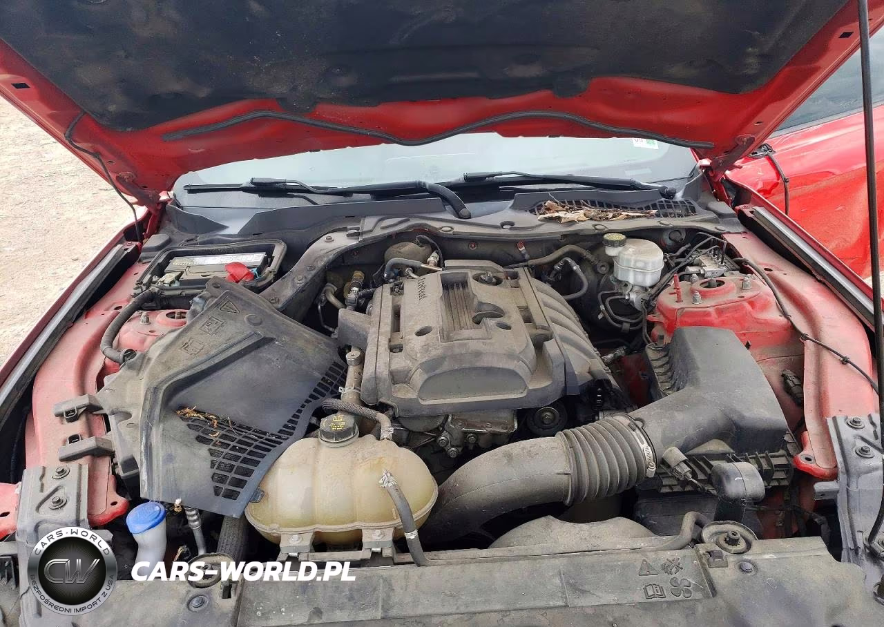 2020 Ford Mustang VIN:1FA6P8THXL5138860 - 11
