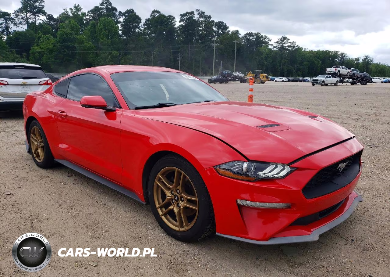 2020 Ford Mustang VIN:1FA6P8THXL5138860 - 4