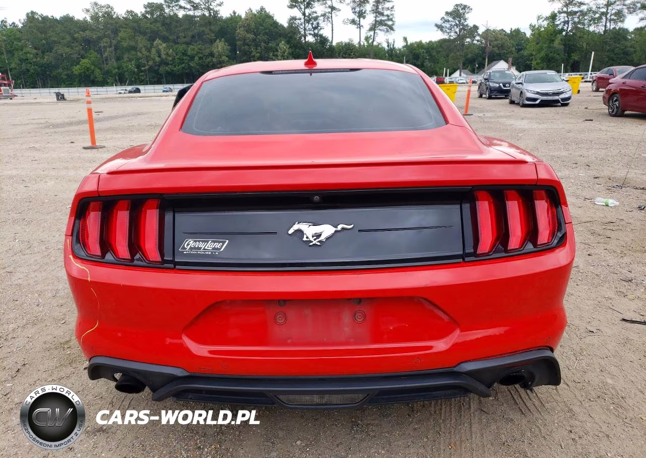 2020 Ford Mustang VIN:1FA6P8THXL5138860 - 6