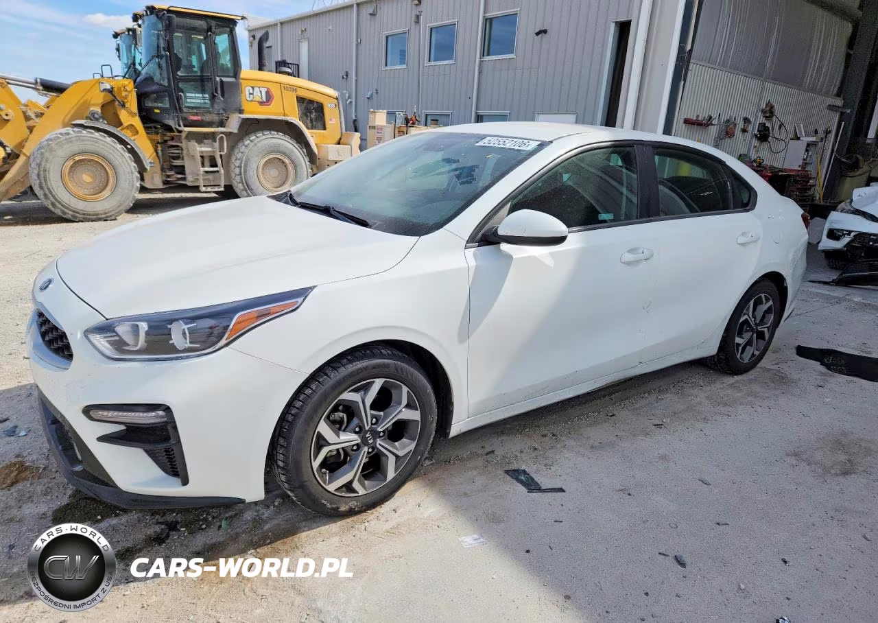 2019 Kia Forte Lxs