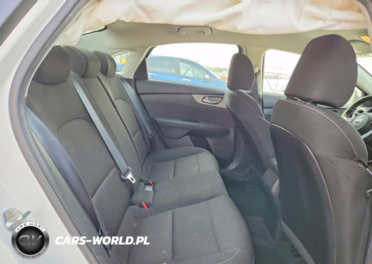 2019 Kia Forte Lxs VIN:3KPF24AD5KE073548 - 10