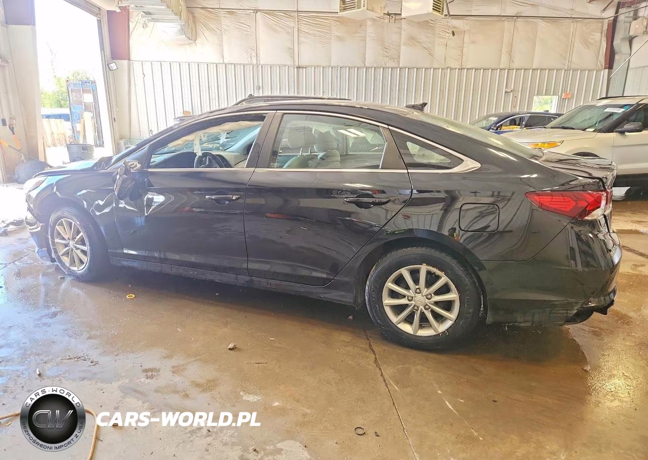 2019 Hyundai Sonata Se VIN:5NPE24AF6KH736005 - 2