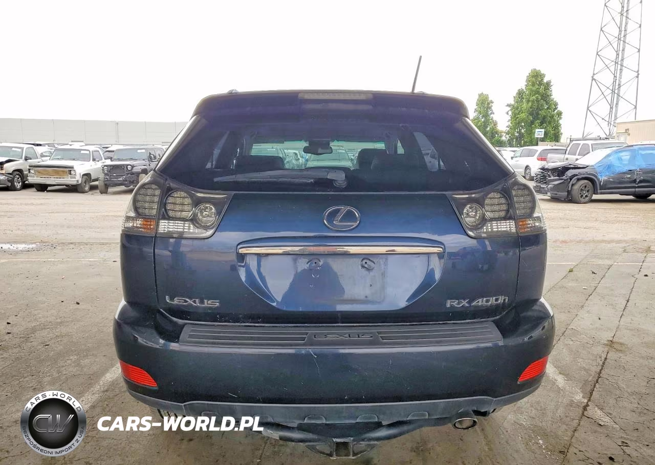 2006 Lexus Rx 400 VIN:JTJHW31U560028080 - 6