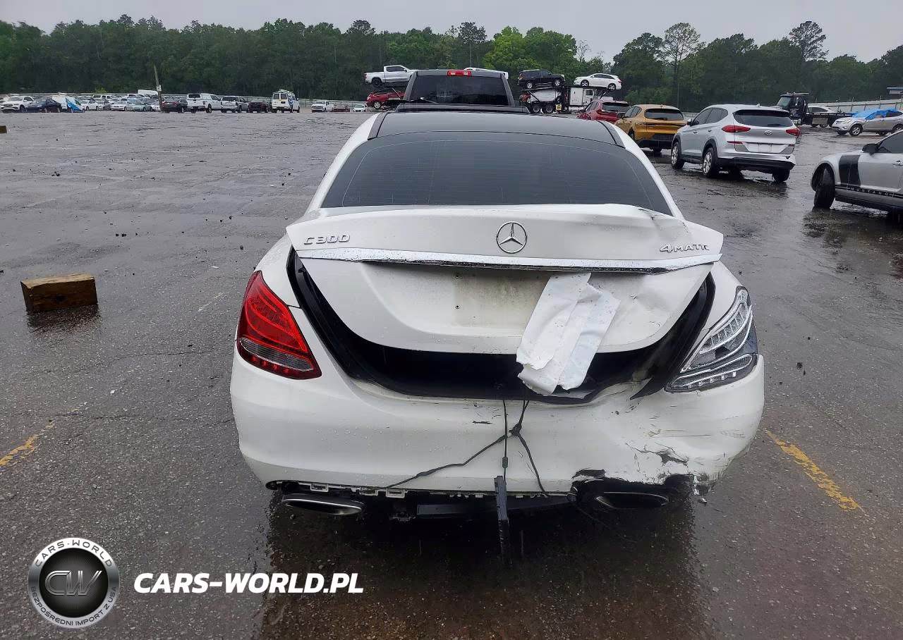 2017 Mercedes-Benz C 300 4Matic VIN:55SWF4KB7HU191393 - 6