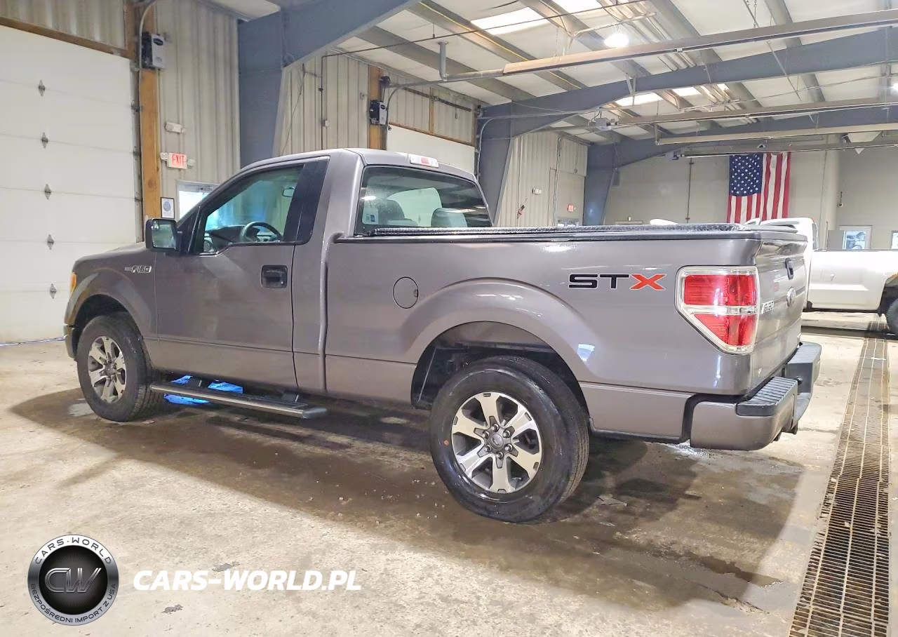 2013 Ford F150 VIN:1FTMF1CF9DKE69202 - 2