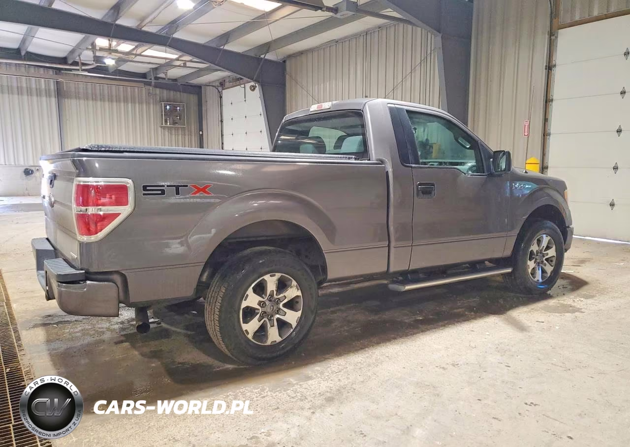 2013 Ford F150 VIN:1FTMF1CF9DKE69202 - 3