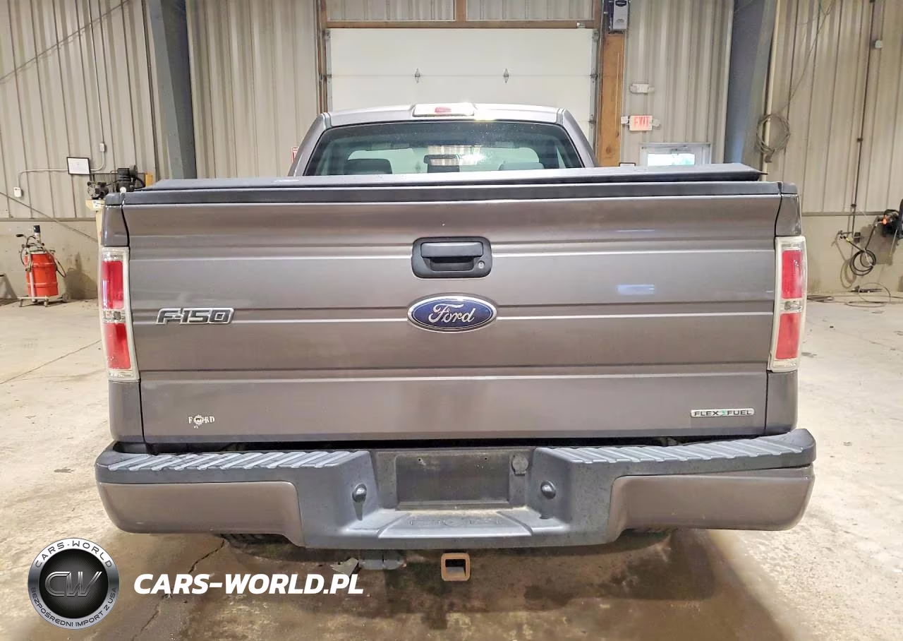 2013 Ford F150 VIN:1FTMF1CF9DKE69202 - 6