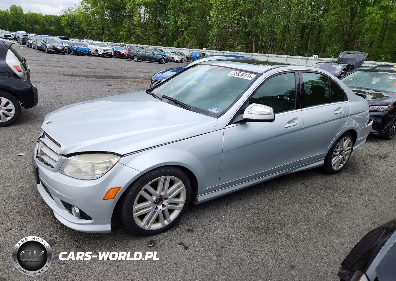 2009 Merz C300