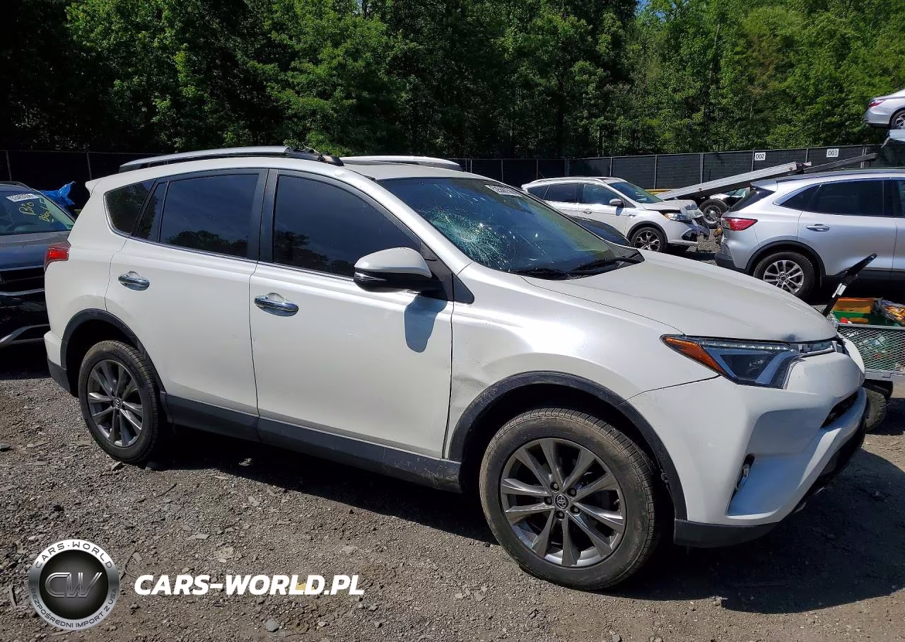 2018 Toyota Rav4 Limited VIN:JTMDFREV8JJ255645 - 4
