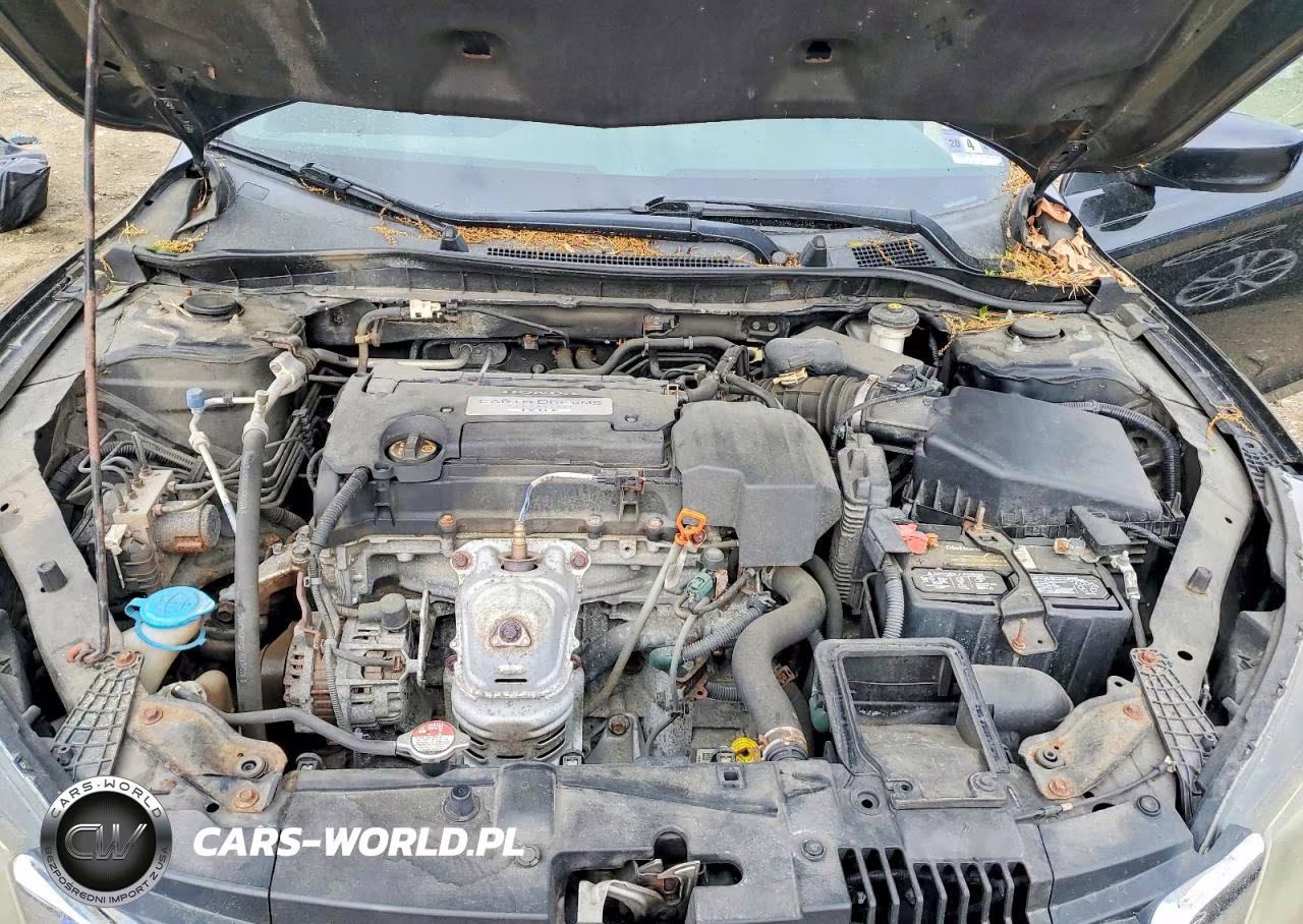 2013 Honda Accord Lx VIN:1HGCR2F37DA240129 - 11