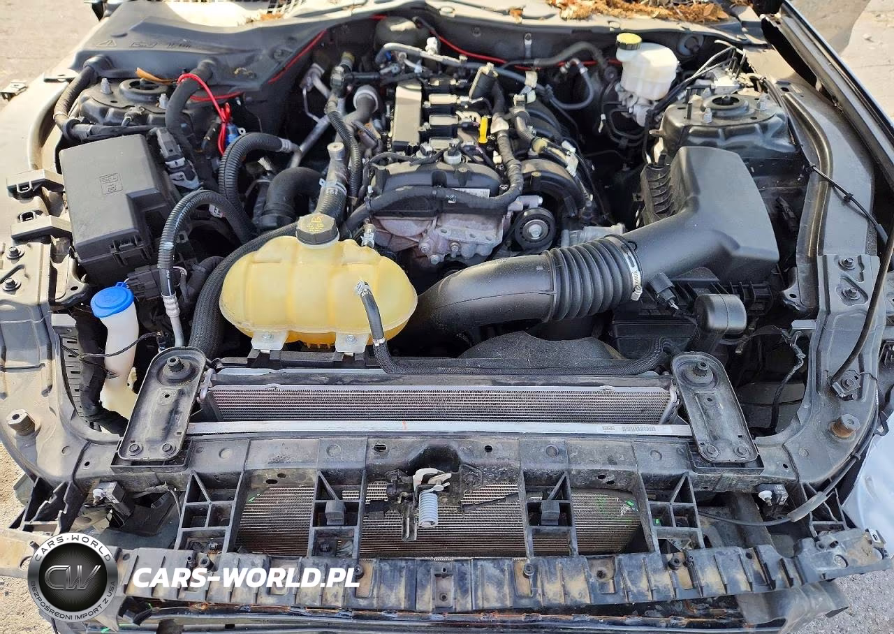 2021 Ford Mustang VIN:1FA6P8TH8M5155254 - 11