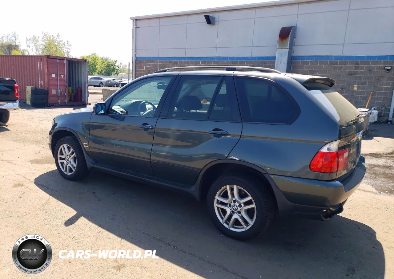 2005 BMW X5 3.0I VIN:5UXFA13575LY10671 - 2
