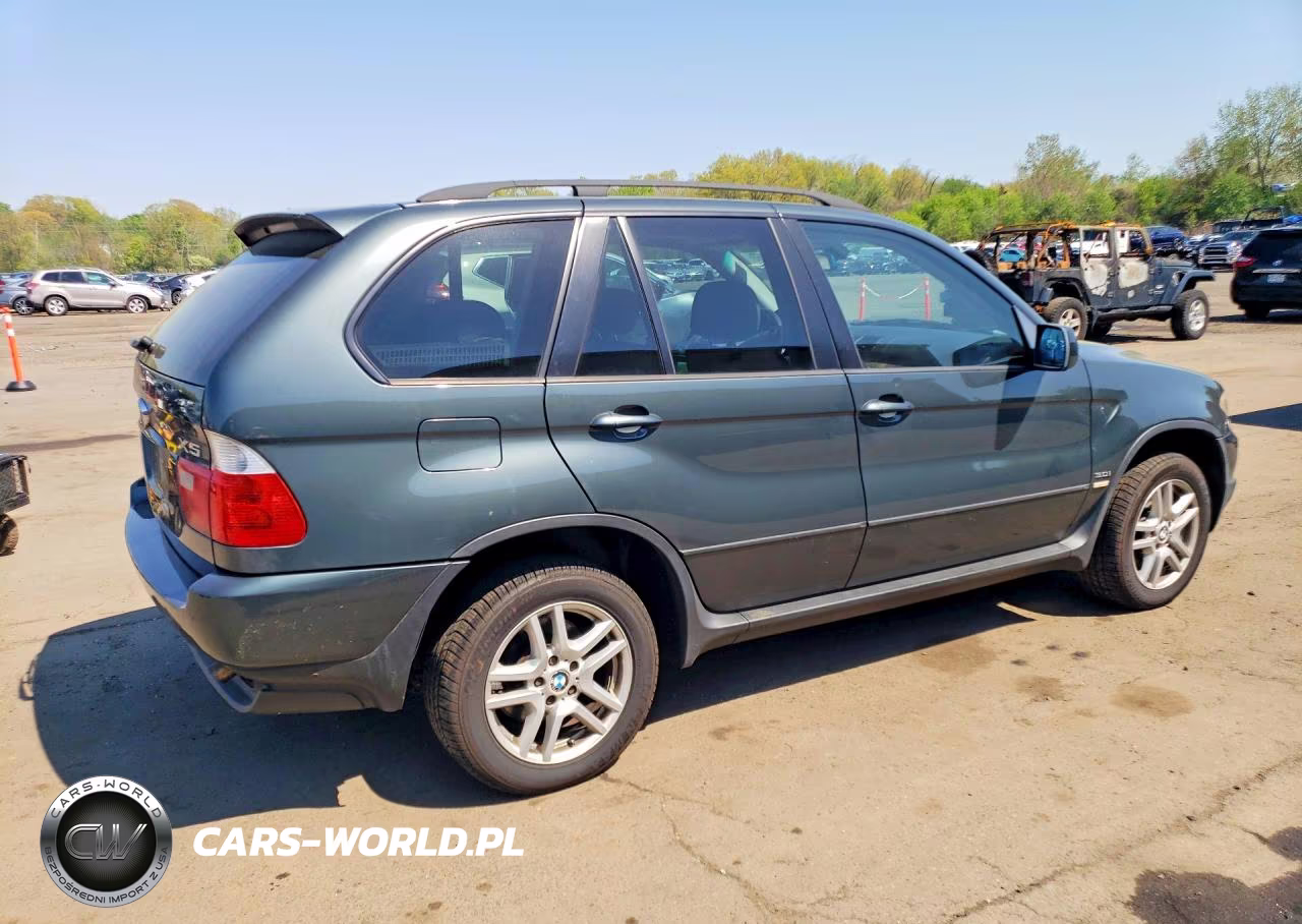 2005 BMW X5 3.0I VIN:5UXFA13575LY10671 - 3