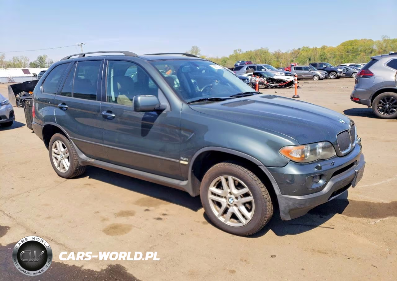 2005 BMW X5 3.0I VIN:5UXFA13575LY10671 - 4