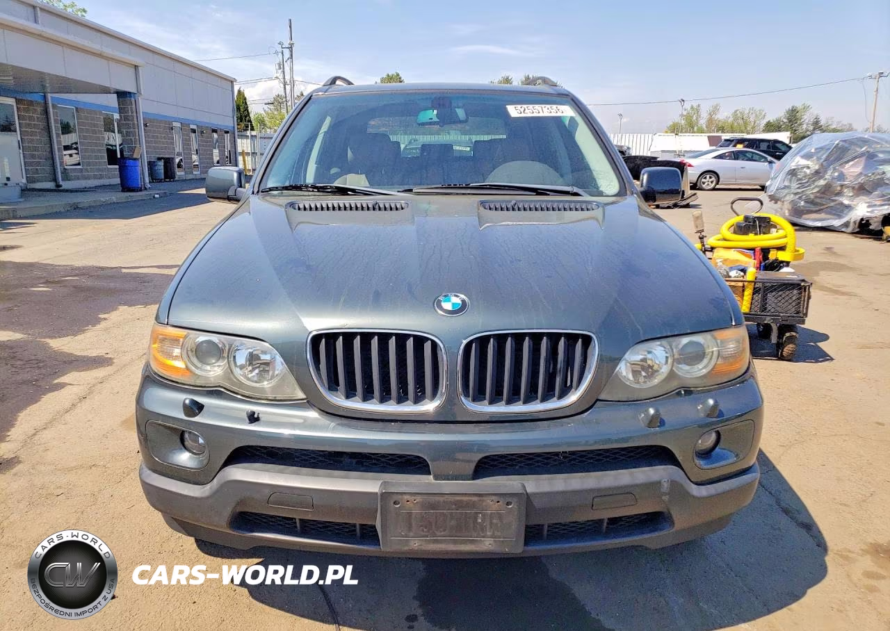 2005 BMW X5 3.0I VIN:5UXFA13575LY10671 - 5