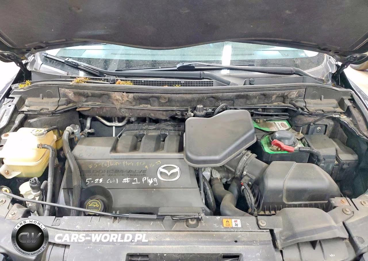 2010 Mazda Cx-9 VIN:JM3TB3MV6A0228561 - 12