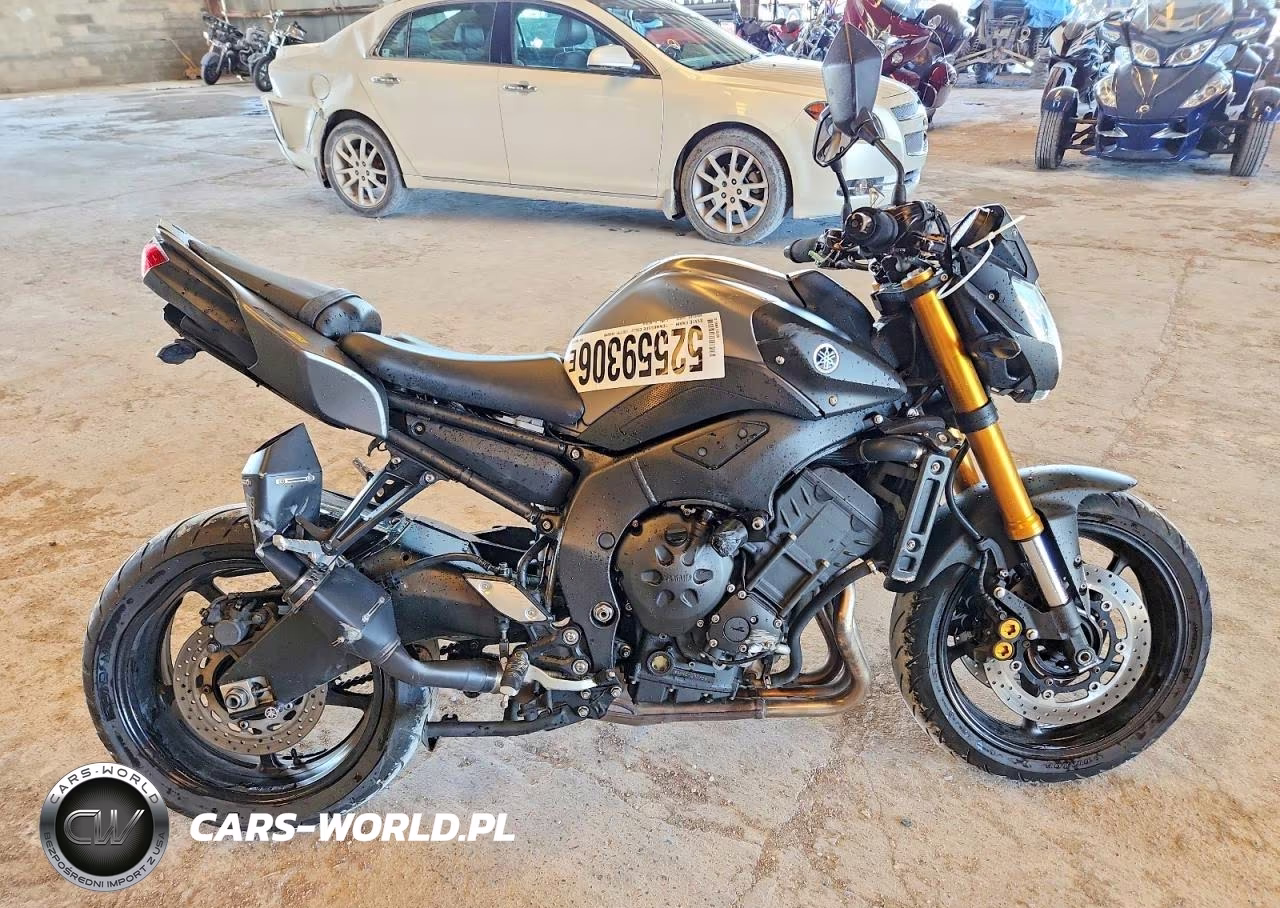 2012 Yamaha Fz8 N