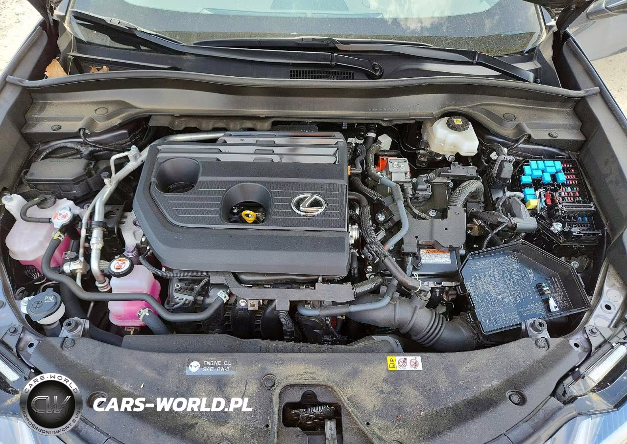 2025 Lexus Ux 300H Premium VIN:JTHYBJAH0S2018821 - 12