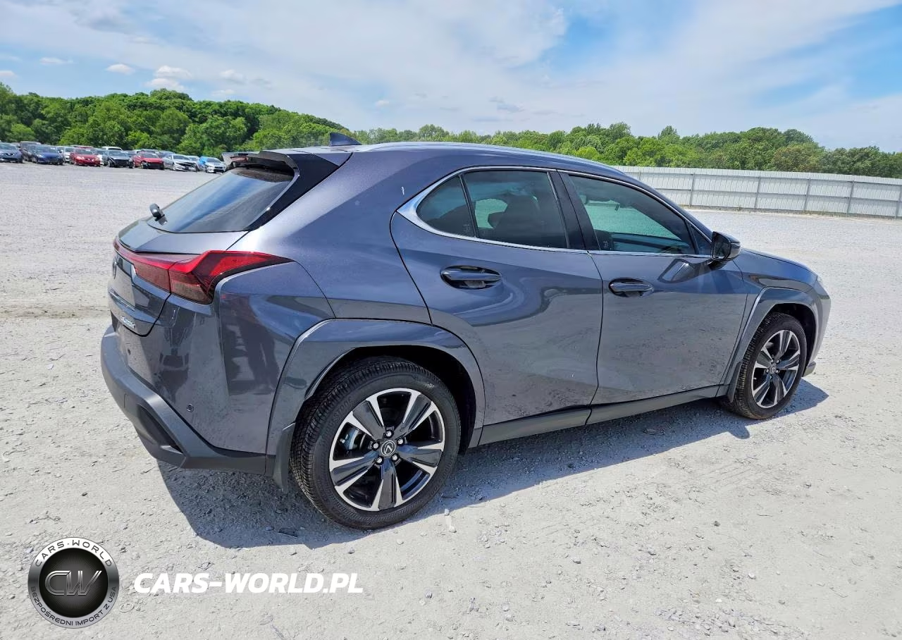2025 Lexus Ux 300H Premium VIN:JTHYBJAH0S2018821 - 3