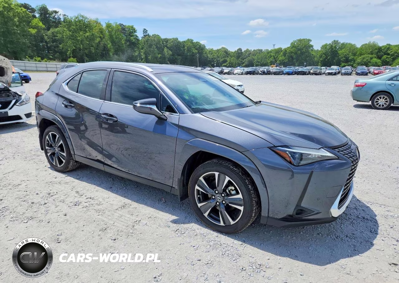 2025 Lexus Ux 300H Premium VIN:JTHYBJAH0S2018821 - 4