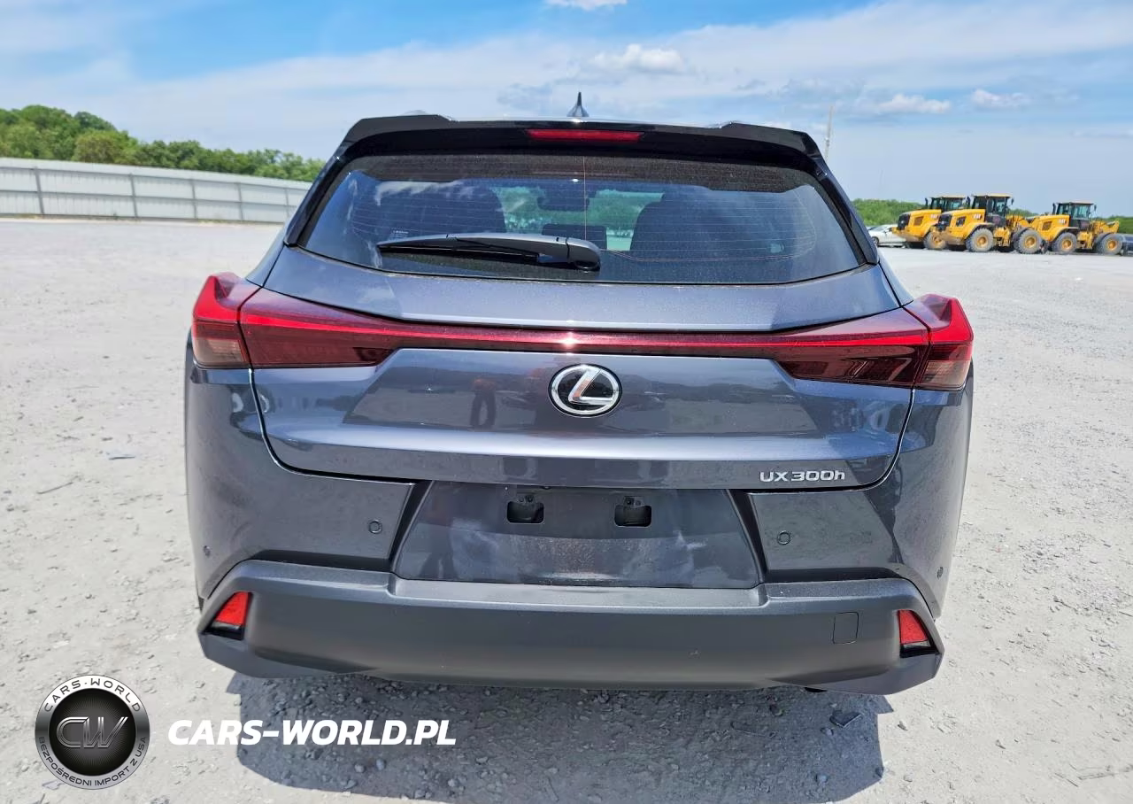 2025 Lexus Ux 300H Premium VIN:JTHYBJAH0S2018821 - 6