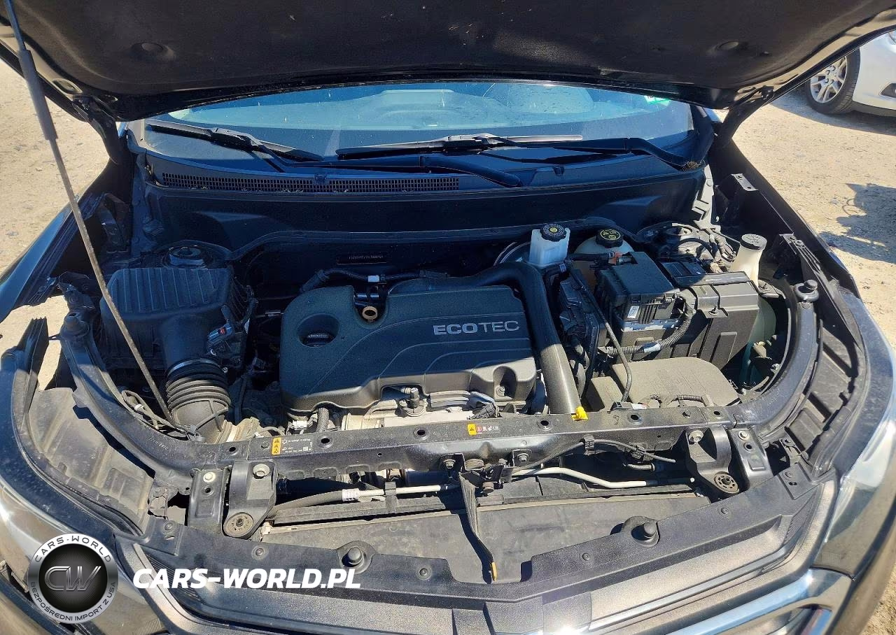2019 Chevrolet Equinox Lt VIN:3GNAXKEVXKL380896 - 12