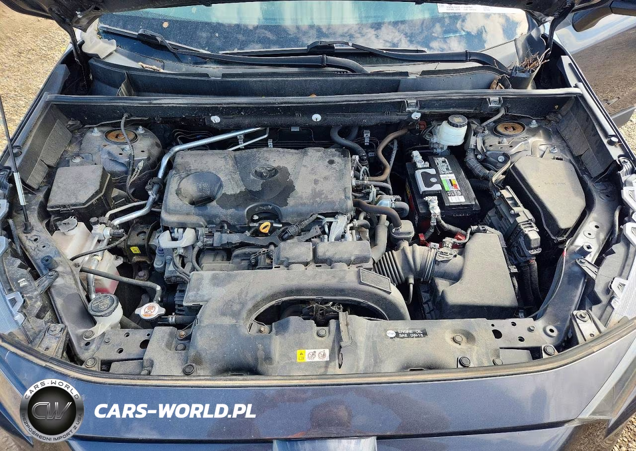 2019 Toyota Rav4 Le VIN:2T3H1RFV5KW034439 - 12