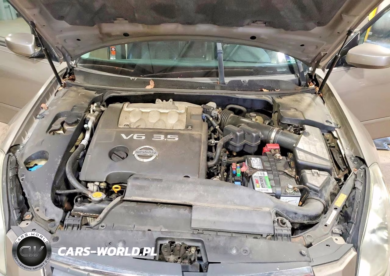 2007 Nissan Maxima 3.5 Se VIN:1N4BA41EX7C805641 - 11
