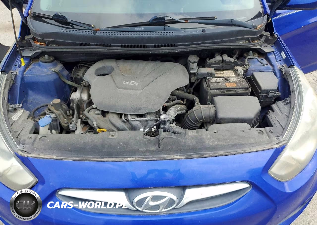 2012 Hyundai Accent Gs VIN:KMHCT5AE5CU040966 - 12
