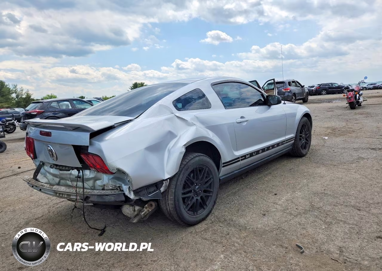 2005 Ford Mustang VIN:1ZVFT80N355239433 - 3