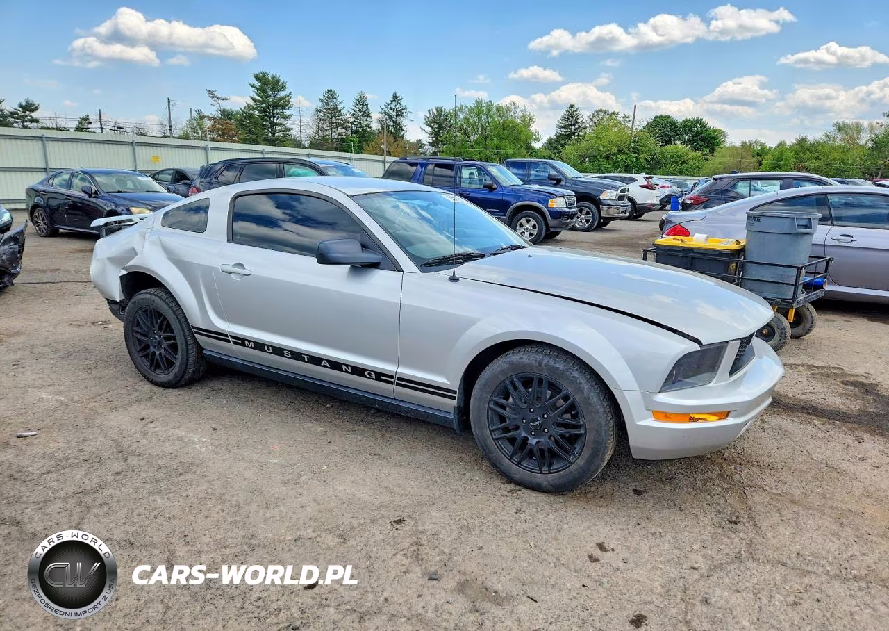 2005 Ford Mustang VIN:1ZVFT80N355239433 - 4