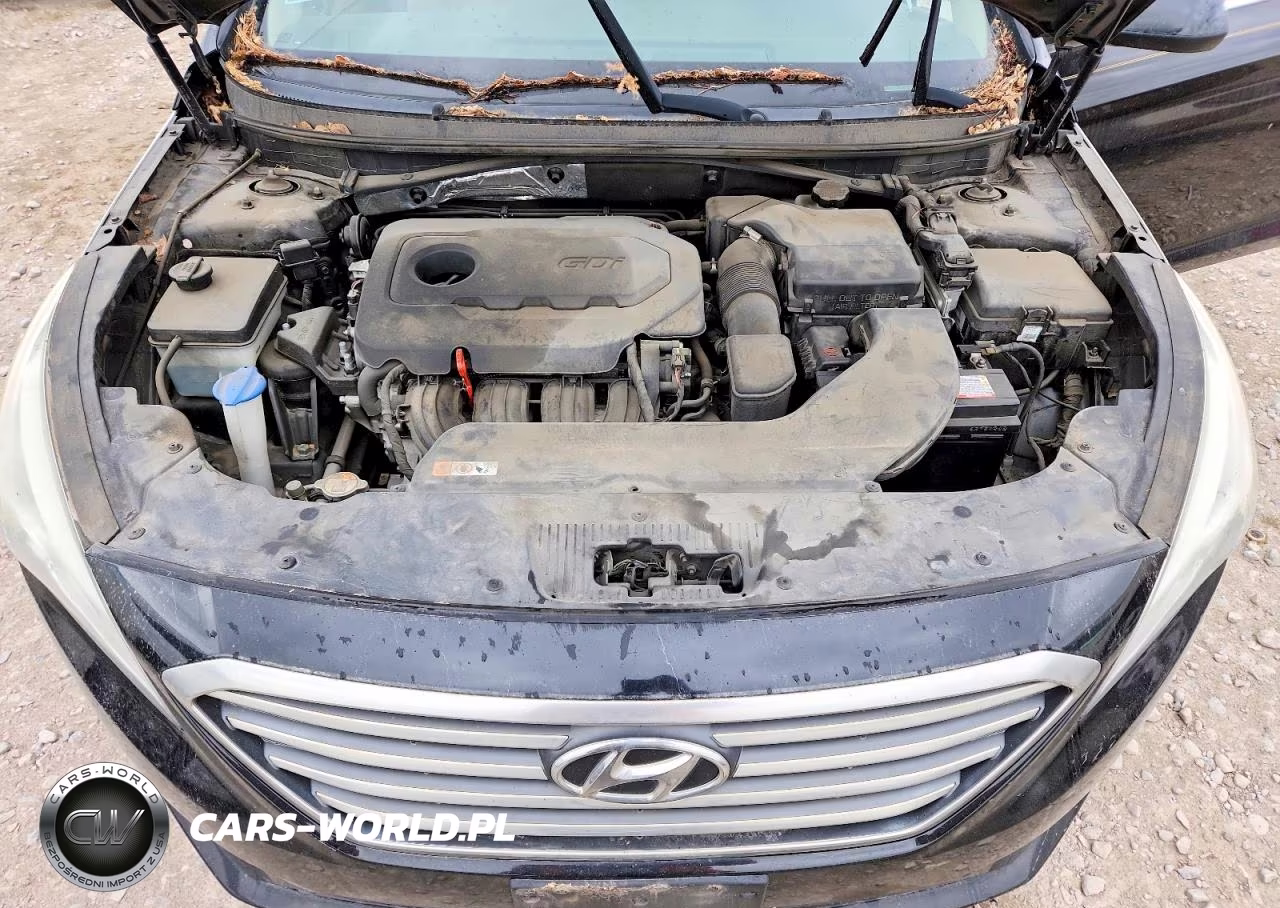 2015 Hyundai Sonata Se VIN:5NPE24AF1FH236369 - 11