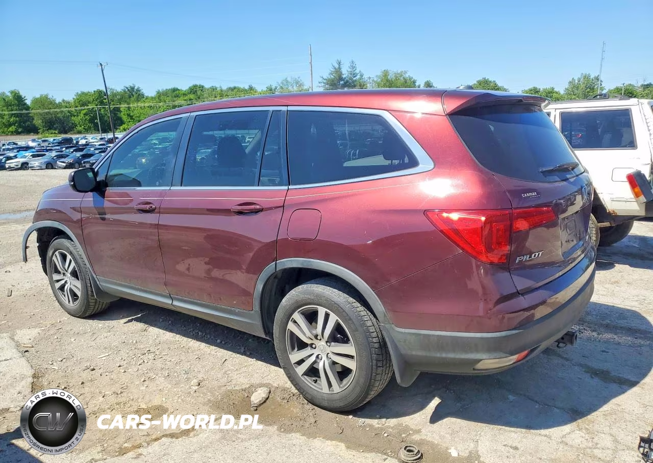 2018 Honda Pilot Exl VIN:5FNYF5H59JB009698 - 2