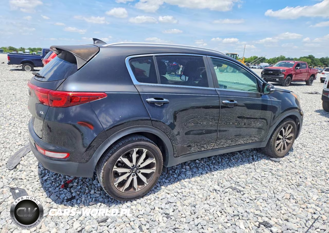 2019 Kia Sportage Ex VIN:KNDPN3AC5K7532607 - 3
