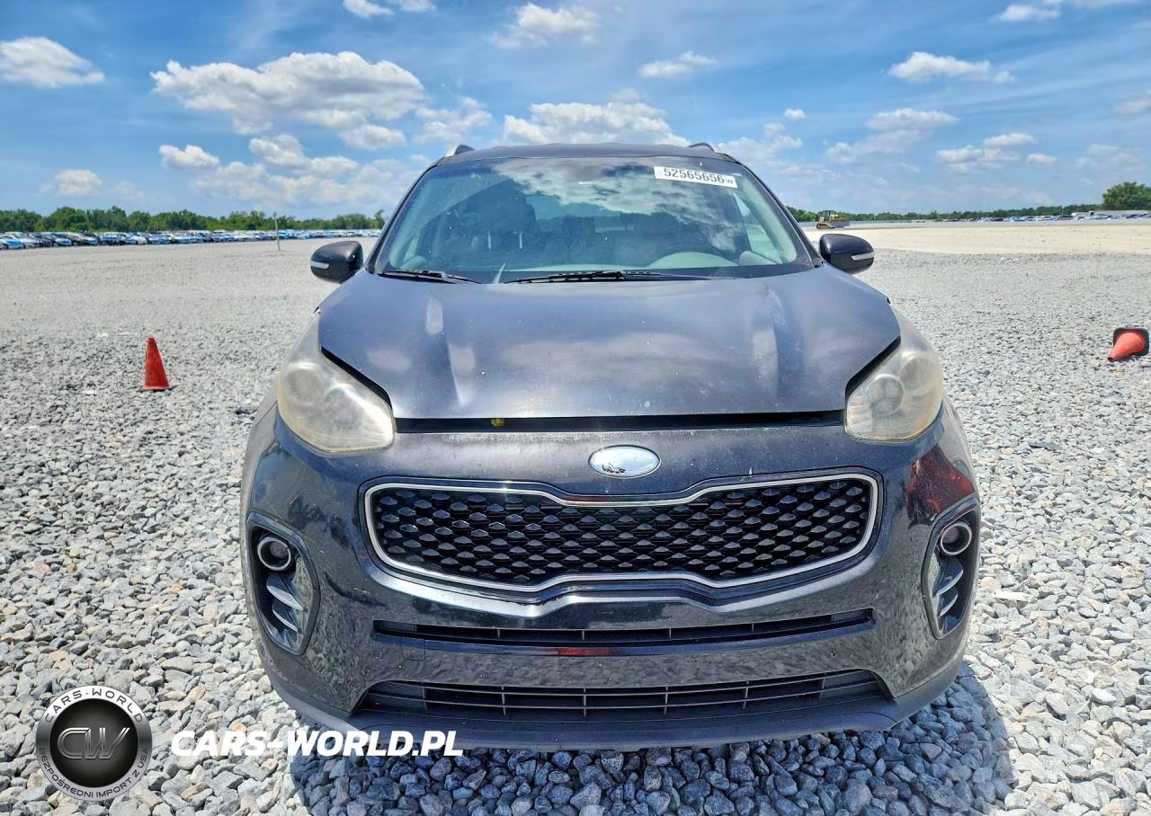 2019 Kia Sportage Ex VIN:KNDPN3AC5K7532607 - 5