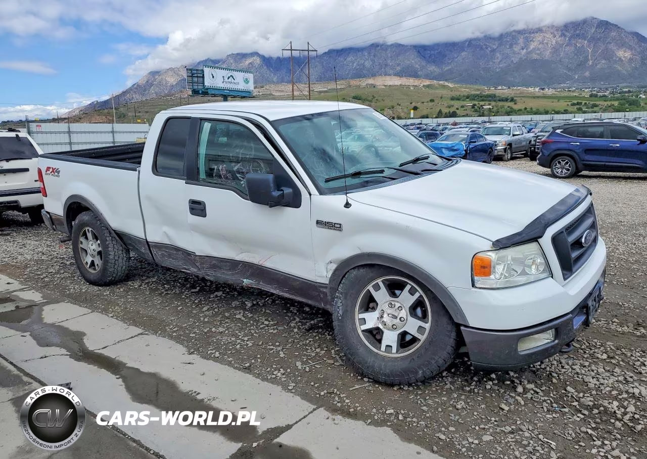 2005 Ford F150 VIN:1FTPX14535NB21315 - 4