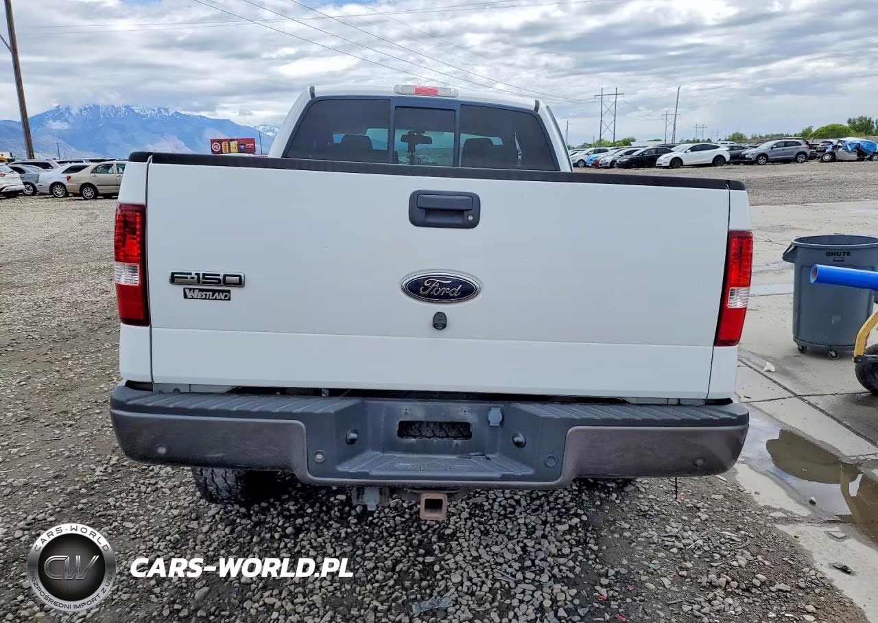 2005 Ford F150 VIN:1FTPX14535NB21315 - 6