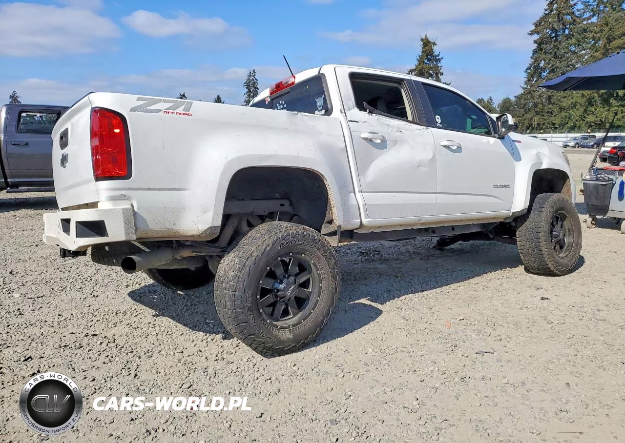 2016 Chevrolet Colorado Z71 VIN:1GCPTDE1XG1311308 - 3