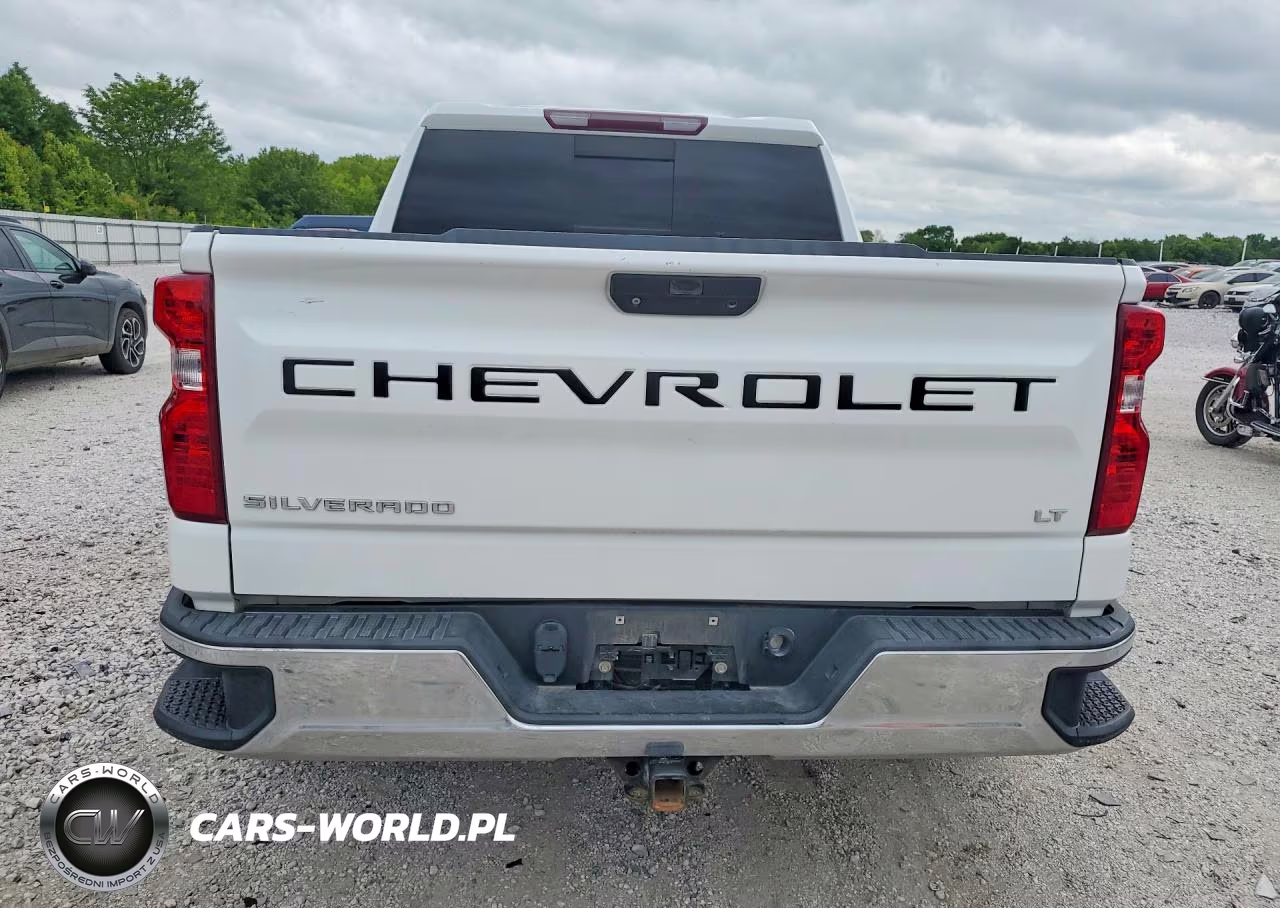 2019 Chevrolet Silverado K1500 Lt VIN:1GCUYDED8KZ225794 - 6