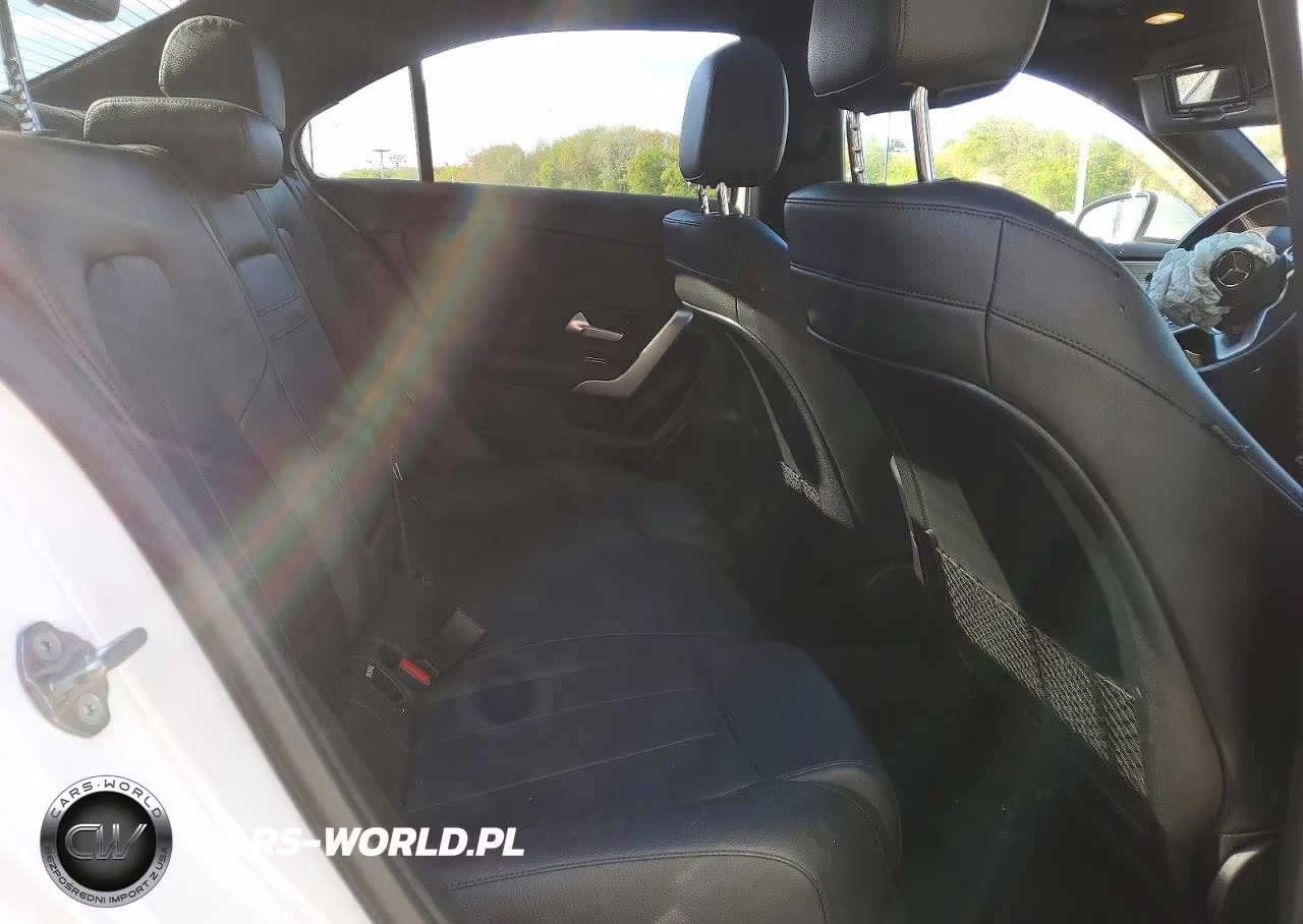 2020 Mercedes-Benz A 220 4Matic VIN:WDD3G4FB2LW042718 - 10