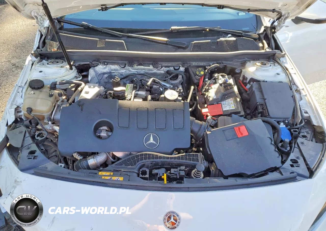2020 Mercedes-Benz A 220 4Matic VIN:WDD3G4FB2LW042718 - 11