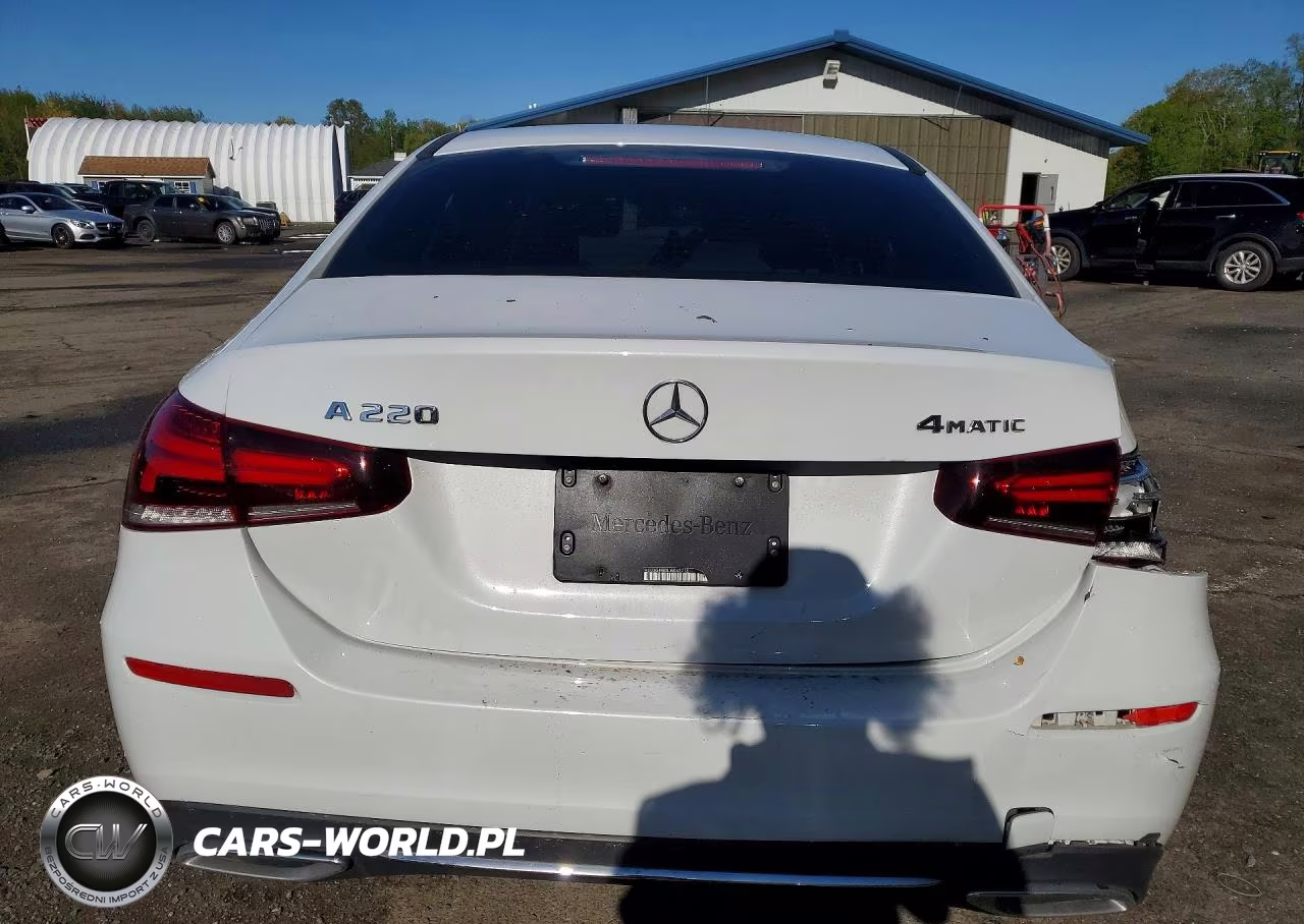 2020 Mercedes-Benz A 220 4Matic VIN:WDD3G4FB2LW042718 - 6