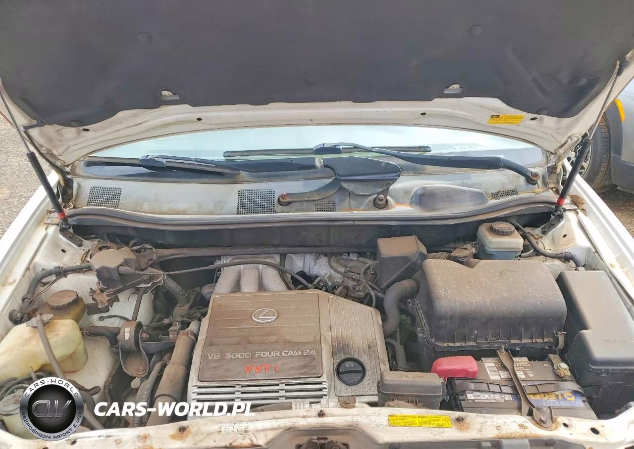 2002 Lexus Rx 300 VIN:JTJGF10U920148475 - 12