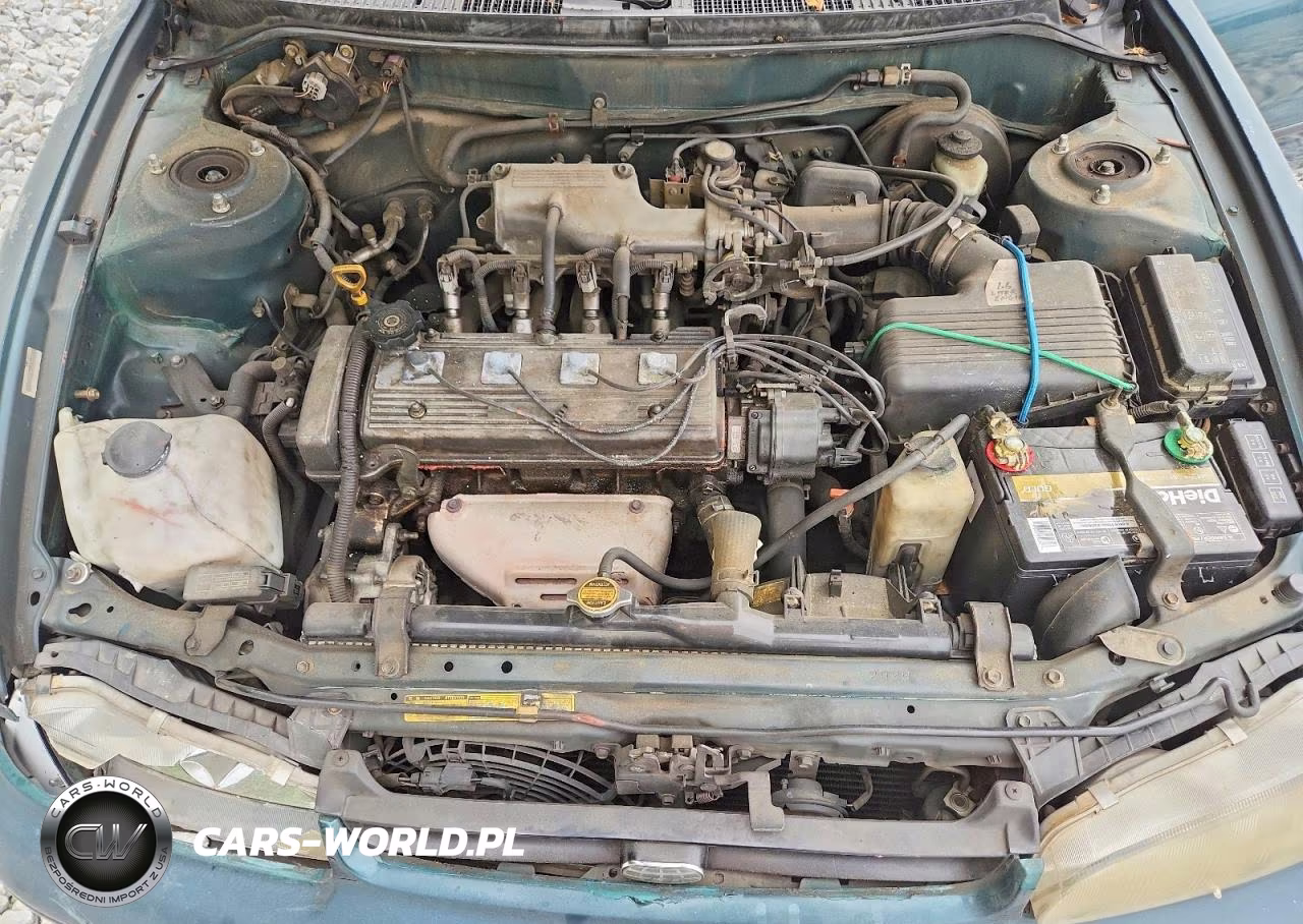 1996 Geo Prizm Base VIN:1Y1SK5261TZ031027 - 11