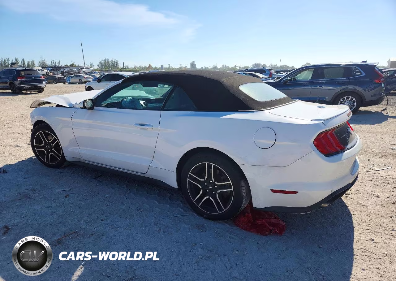 2021 Ford Mustang VIN:1FATP8UH8M5111773 - 2