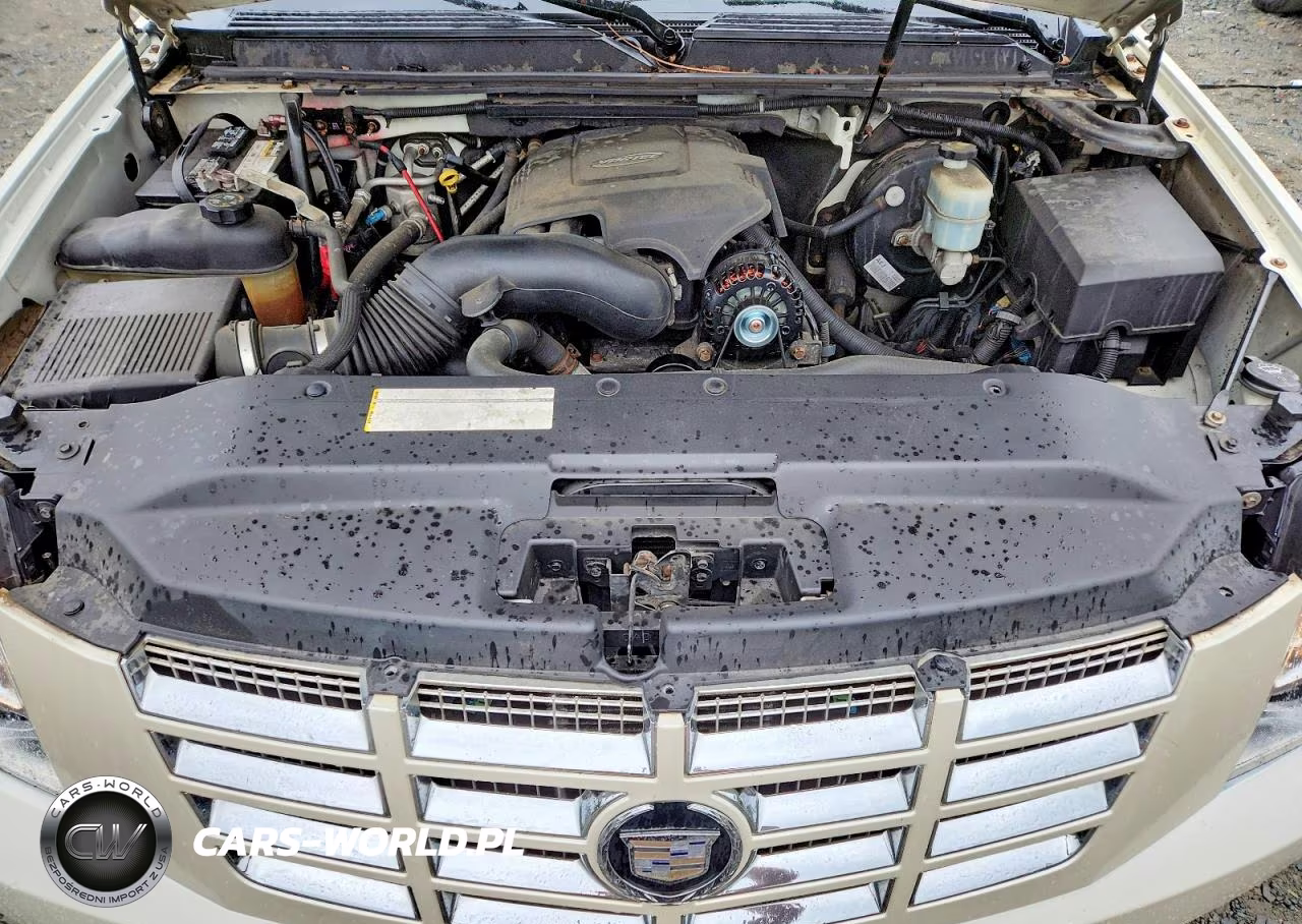 2007 Cadillac Escalade Luxury VIN:1GYFK63897R143859 - 12