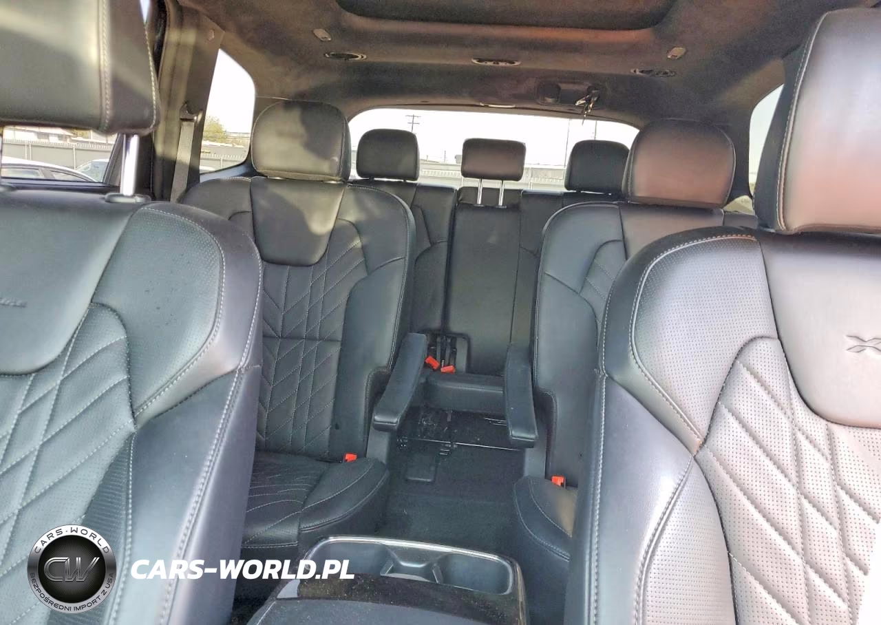 2025 Kia Telluride Sx-Prestige X-Line VIN:5XYP5DGC8SG607218 - 10