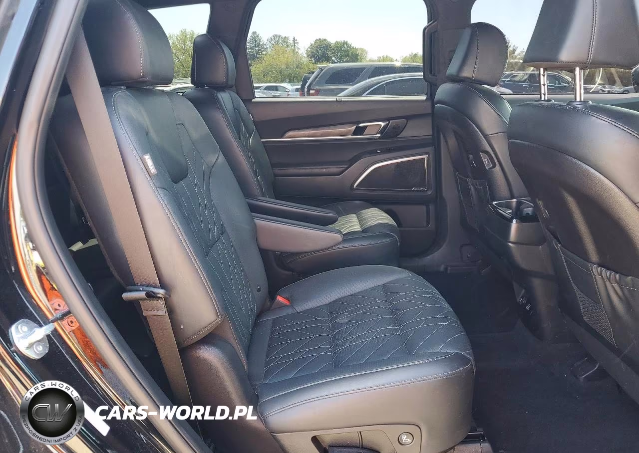 2025 Kia Telluride Sx-Prestige X-Line VIN:5XYP5DGC8SG607218 - 11