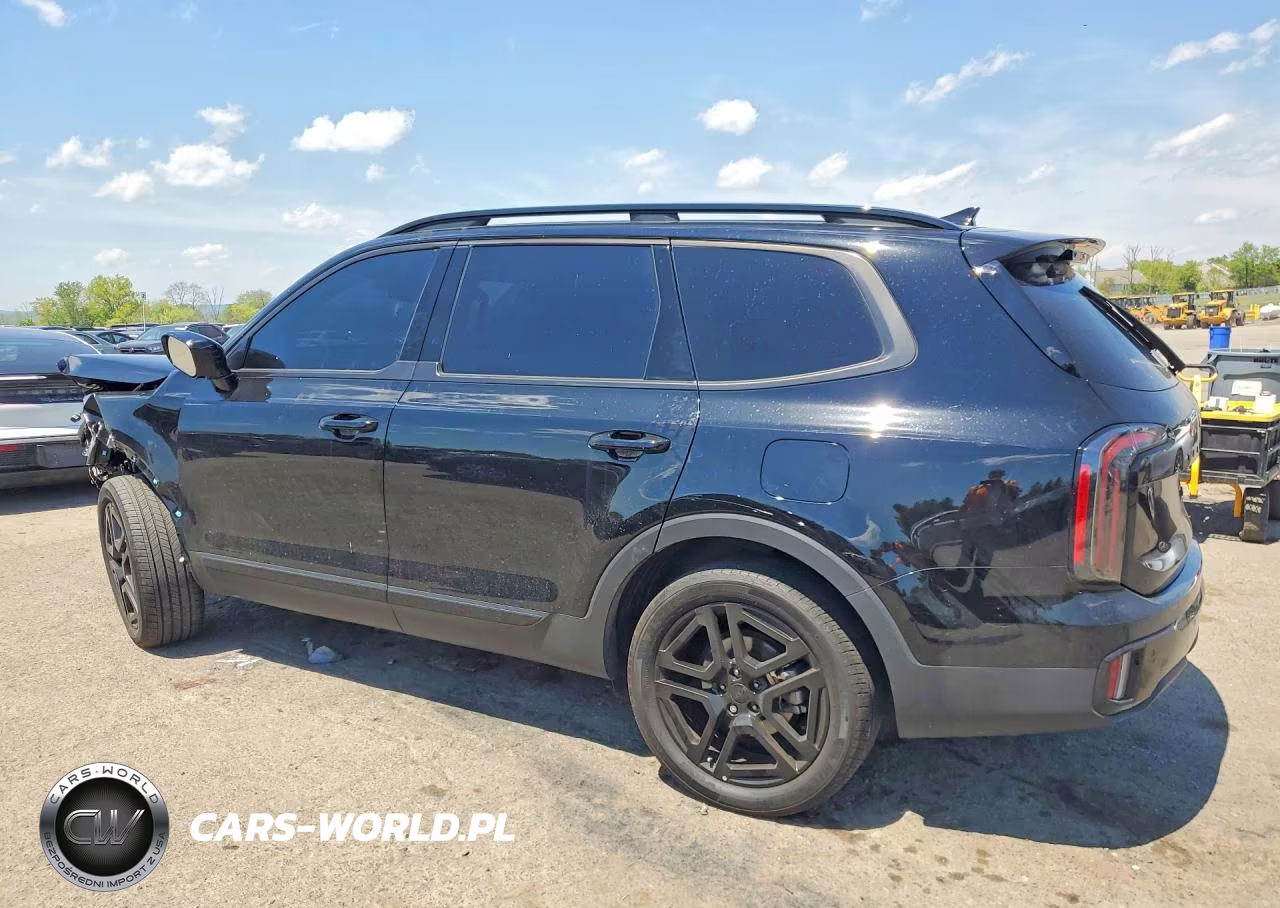 2025 Kia Telluride Sx-Prestige X-Line VIN:5XYP5DGC8SG607218 - 2